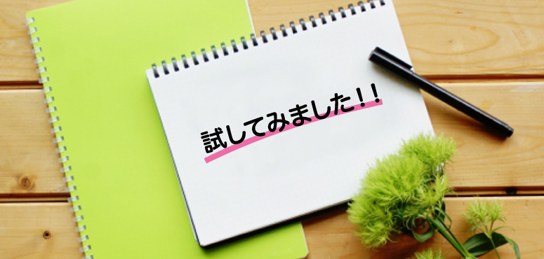 試してみました